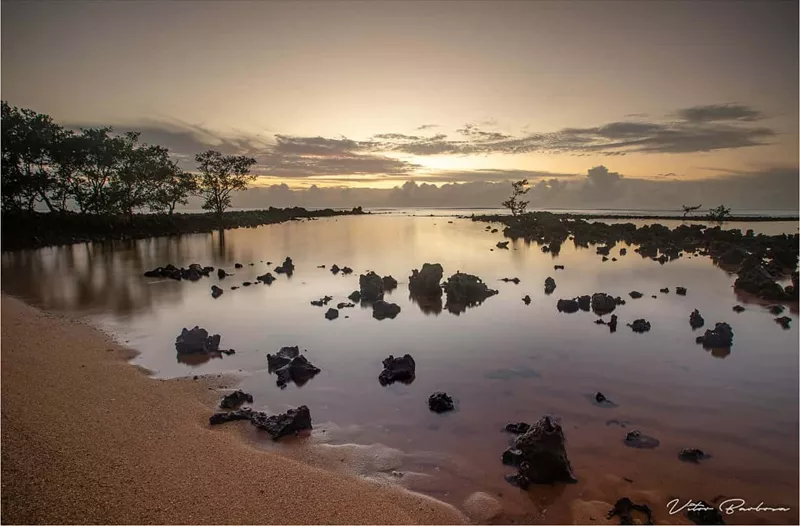 Praia da Biologia