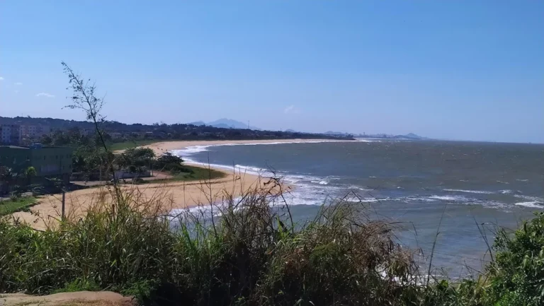 ponta da fruta